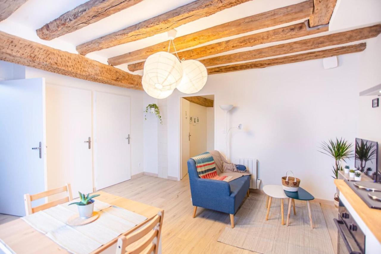 Nice getaway in Amboise&sauna in T2 near Royal Castle - LE LÉONARD Esterno foto